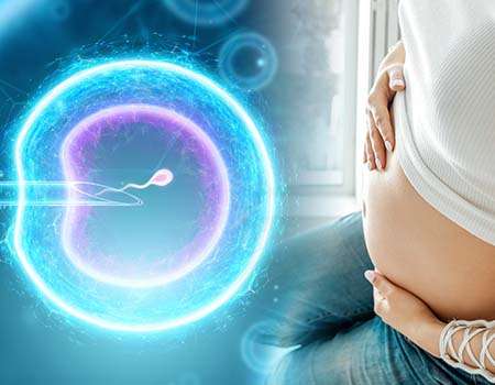 A Revolutionary Solution for Women's Health and Fertility Enhancement Hyperoxaluria